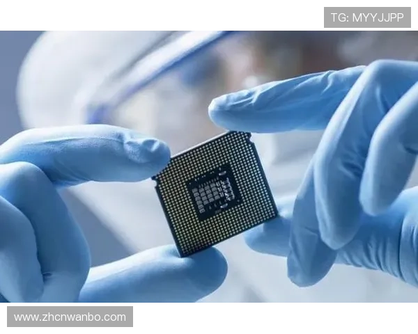 万博manbetx入口：详细介绍万博manbetx官方入口的安全保障措施与使用技巧